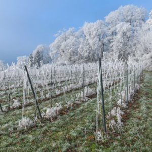 Weinkurhaus | © blende11.photo / Fotolia